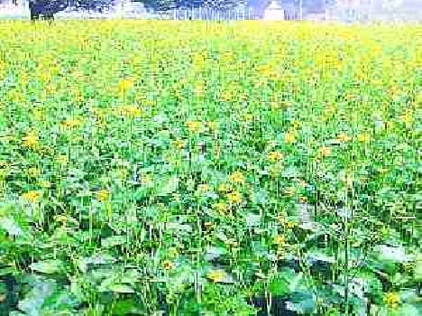  farmers worried on changing the Climate